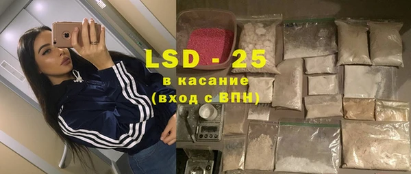 гашик Кулебаки
