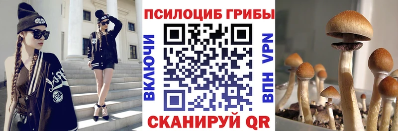 Галлюциногенные грибы прущие грибы  блэк спрут tor  Луга  магазин продажи наркотиков 