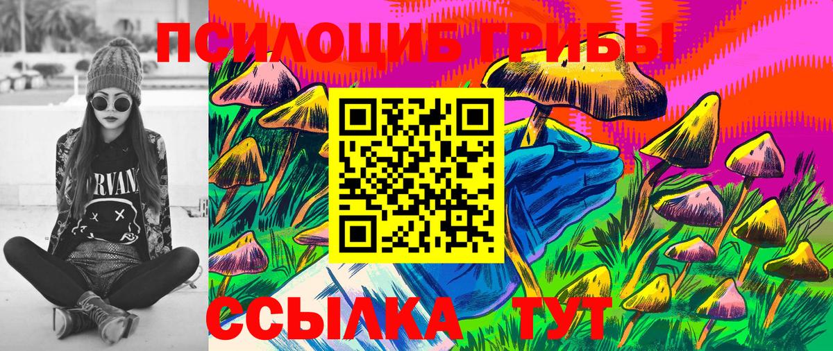 Галлюциногенные грибы мицелий  Галлюциногенные грибы Psilocybe  Луга  Вход с VPN 