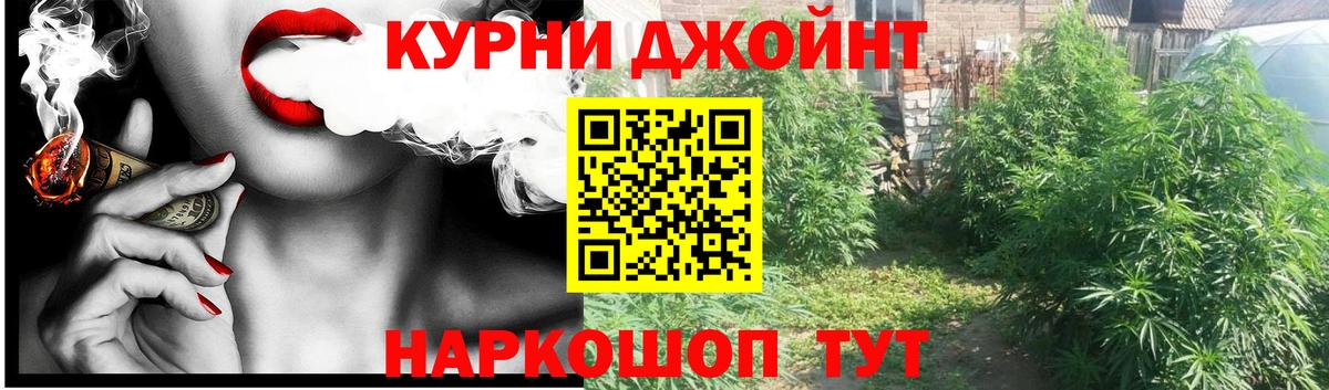 Марихуана планчик Луга